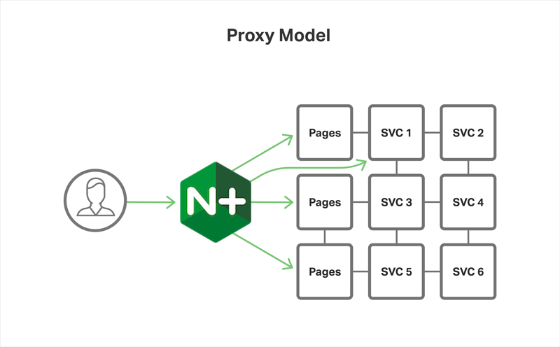 In the Proxy Model of the Microservices Reference Architecture from NGINX, NGINX Plus acts as a reverse proxy server and ingress controller for the microservice instances of an application