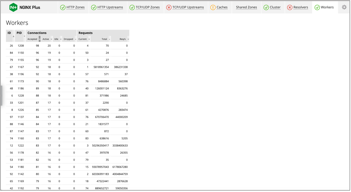 NGINX Plus Live Activity Monitoring Dashboard showing the information below about NGINX Plus connections and requests